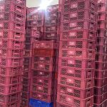 WhatsApp Image 2025-09-10 at 2.02.24 PM (1)