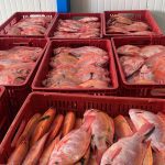 WhatsApp Image 2025-09-10 at 2.02.24 PM (2)